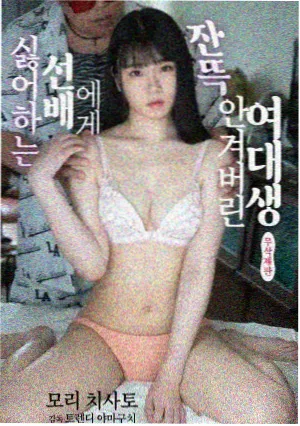 繁花 在线视频观看免费完整高清电视剧